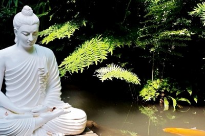 Nghe nhạc thiền có tác dụng gì đối với trí tuệ và sức khỏe?