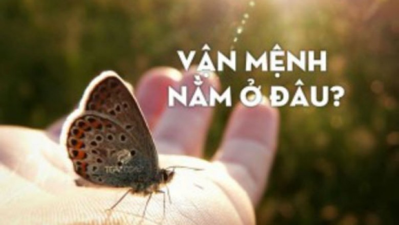 Hiểu rõ vận mệnh để làm chủ vận mệnh: 9 cách thay đổi số phận theo Phật giáo