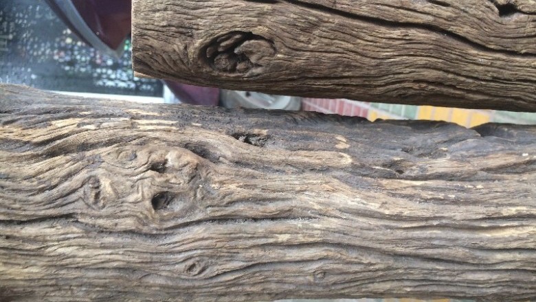 Cây dược liệu cây Huỳnh đường, Huỳnh đàng - Dysoxylum loureiri Pierre