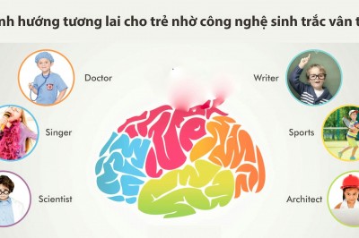 Sinh trắc vân tay 'giải mã' cả cuộc đời trò xem bói bằng máy tính hái ra tiền