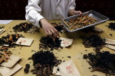 Đạo tình của vị lương y Phật tử