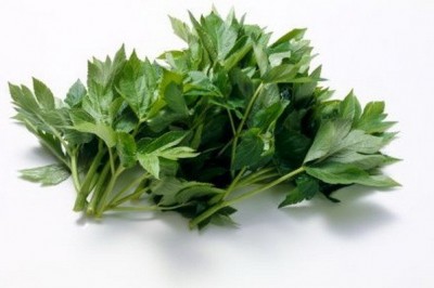 Loài thảo dược Ashitaba có chứa tinh chất chống lão hóa