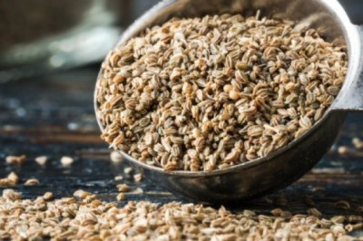 Chiết xuất từ hạt cần tây góp phần hỗ trợ chữa trị gout