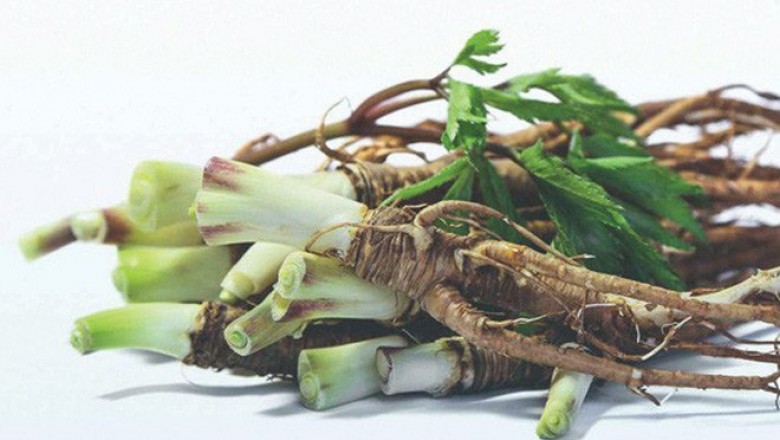 Bài thuốc đông y trị bệnh táo bón mạn tính