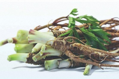 Bài thuốc đông y trị bệnh táo bón mạn tính