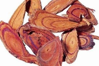 Tác dụng chữa bệnh và cách dùng cây Kê huyết đằng, hồng đằng, huyết rồng