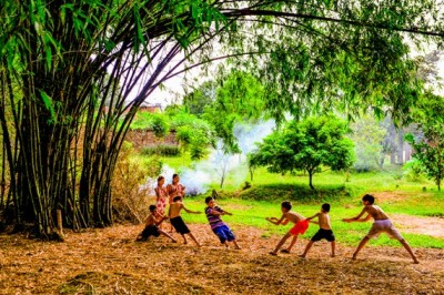 Cây Tre gai, Tre gai rừng, Tre vườn, Tre lộc ngộc, Tre nghệ - Bambusa bambos (L.) Voss (B. arundinaceaRetz. var. spinosa Cam.)