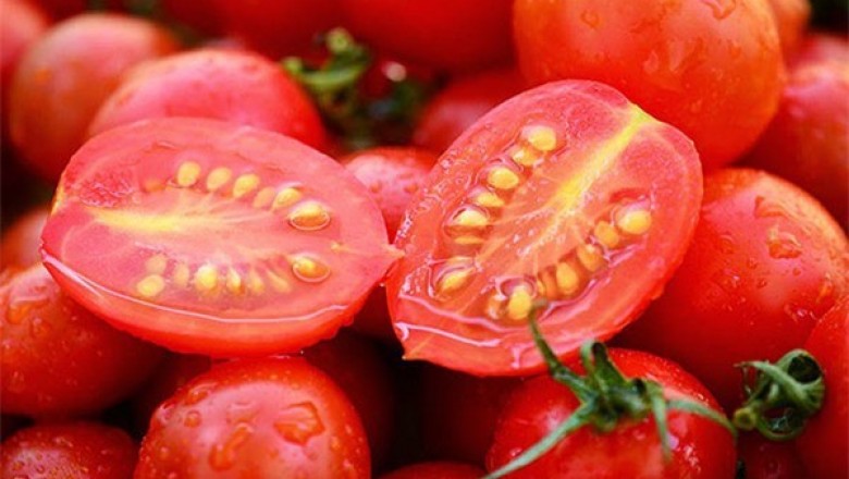 Tác dụng của hạt từ quả cà chua