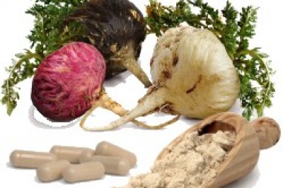 Nhân sâm Peru hayMaca peru - Lepidium meyenii