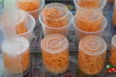 Tìm hiểu dược tính của nâm đông trùng hạ thảo Cordyceps sp