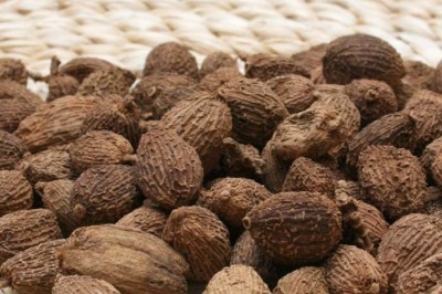 Thuốc chữa bệnh từ cây sa nhân, dược liệu sa nhân