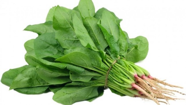 Rau chân vịt có thể làm tăng sức mạnh cơ bắp, rất tốt cho sức khỏe