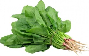 Rau chân vịt có thể làm tăng sức mạnh cơ bắp, rất tốt cho sức khỏe