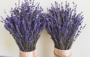 Bài trí hoa oải hương đúng phong thủy để hạnh phúc viên mãn