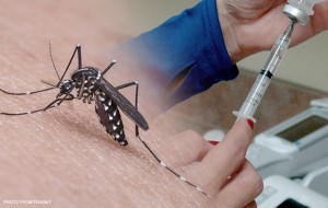 Những điều cần biết về vắc xin phòng sốt xuất huyết