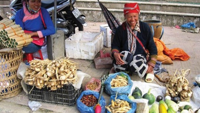Sử dụng nhầm lẫn cây thuốc, cây dược liệu cần lưu ý