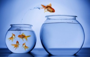 20 cách tích đức đơn giản để cải tạo vận mệnh ai cũng tự áp dụng được