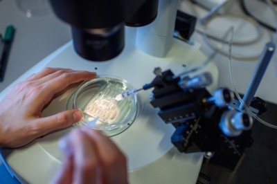 Thử nghiệm công nghệ chỉnh sửa gen để tiêu diệt tế bào ung thư