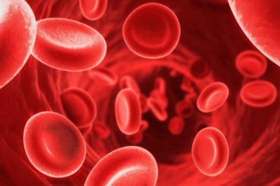 Người thiếu máu nên ăn cà chua, ngũ cốc nguyên hạt