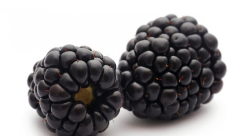 Nhiều người bị nhiễm viêm gan A sau khi ăn quả mâm xôi