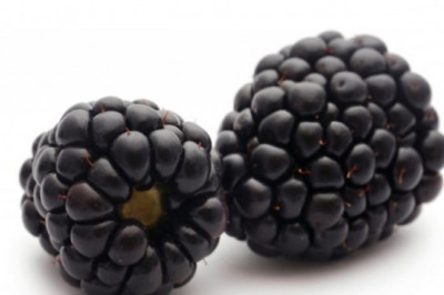 Nhiều người bị nhiễm viêm gan A sau khi ăn quả mâm xôi