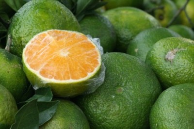 7 tác dụng của quả cam tốt cho sức khỏe nhiều người ăn mỗi ngày