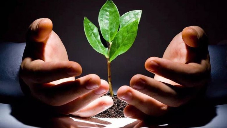 Quy luật nhân quả ở góc độ sức khỏe