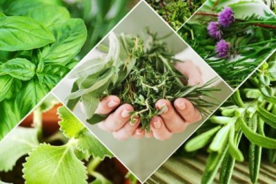 Dược dục liệu pháp dưỡng da, phòng bệnh