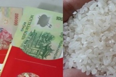 Chú ý phong thủy thùng đựng gạo để gia đình tránh lụn bại