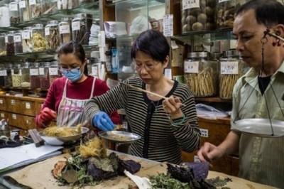 Thử nghiệm dùng y học cổ truyền chữa viêm phổi corona