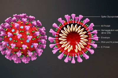 Coronavirus mới (2019-nCoV)