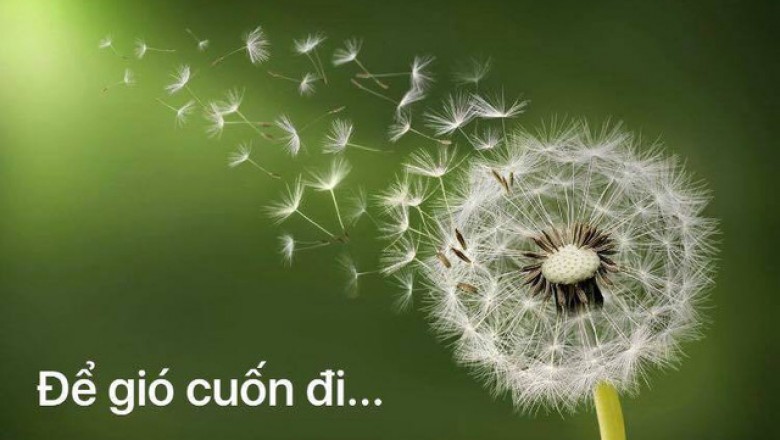 Không giận không oán sẽ không đau khổ