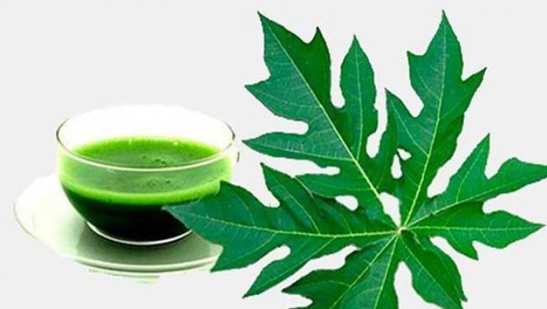 Bất ngờ với tác dụng giải độc của lá đu đủ