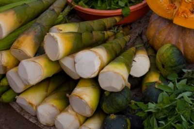 Sai lầm khi chế biến măng khiến cả nhà ngộ độc