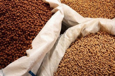 Thức ăn chăn nuôi có 3 hình thức công bố hợp quy
