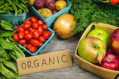 Đẩy mạnh hoàn thiện tiêu chuẩn hóa về phát triển nông nghiệp hữu cơ