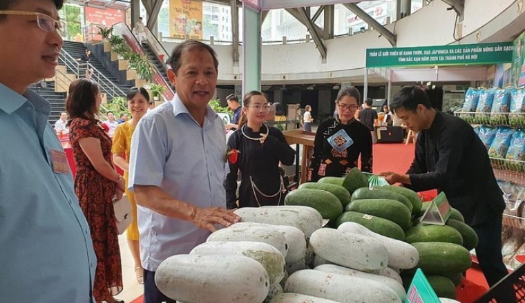 Đặc sản Bắc Kạn ngập tràn thủ đô thu hút người tiêu dùng