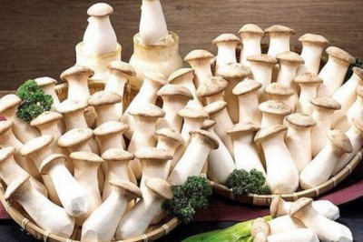 5 loại nấm là 'thần dược' cho sức khỏe, giúp giải độc, tăng cường sức khỏe mỗi ngày