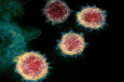 Vì sao một số người chưa từng mắc Covid-19 vẫn có khả năng miễn dịch?