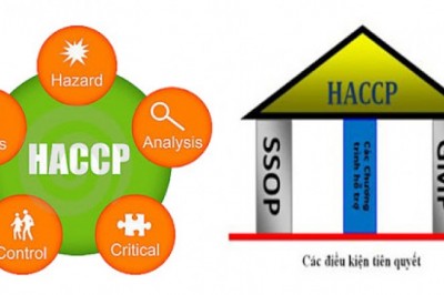 Tiêu chuẩn HACCP là gì ?