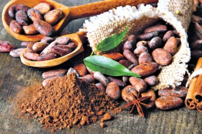 Phát hiện flavanols có khả năng chống béo phì