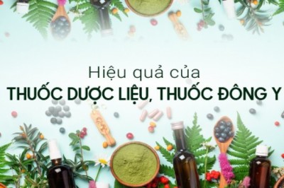 Hiệu quả của thuốc dược liệu, thuốc Đông y đã được chứng minh