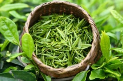 Người tăng huyết áp có nên uống trà xanh?