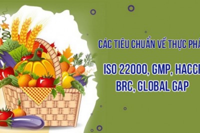 Loạt tiêu chuẩn ISO cho lĩnh vực sản xuất thực phẩm