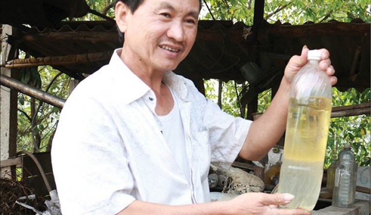 Dầu tràm Huế trước thực trạng hàng giả, kém chất lượng