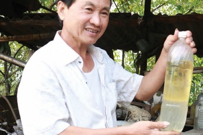 Dầu tràm Huế trước thực trạng hàng giả, kém chất lượng