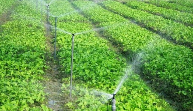 Tiêu chuẩn về tái sử dụng nước thải đã qua xử lý cho mục đích tưới