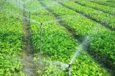 Tiêu chuẩn về tái sử dụng nước thải đã qua xử lý cho mục đích tưới