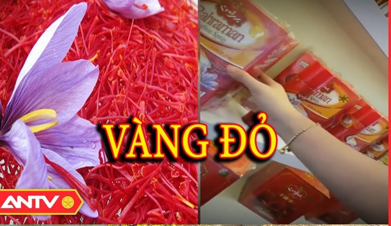 Bát nháo thị trường nhụy hoa nghệ tây