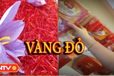 Bát nháo thị trường nhụy hoa nghệ tây